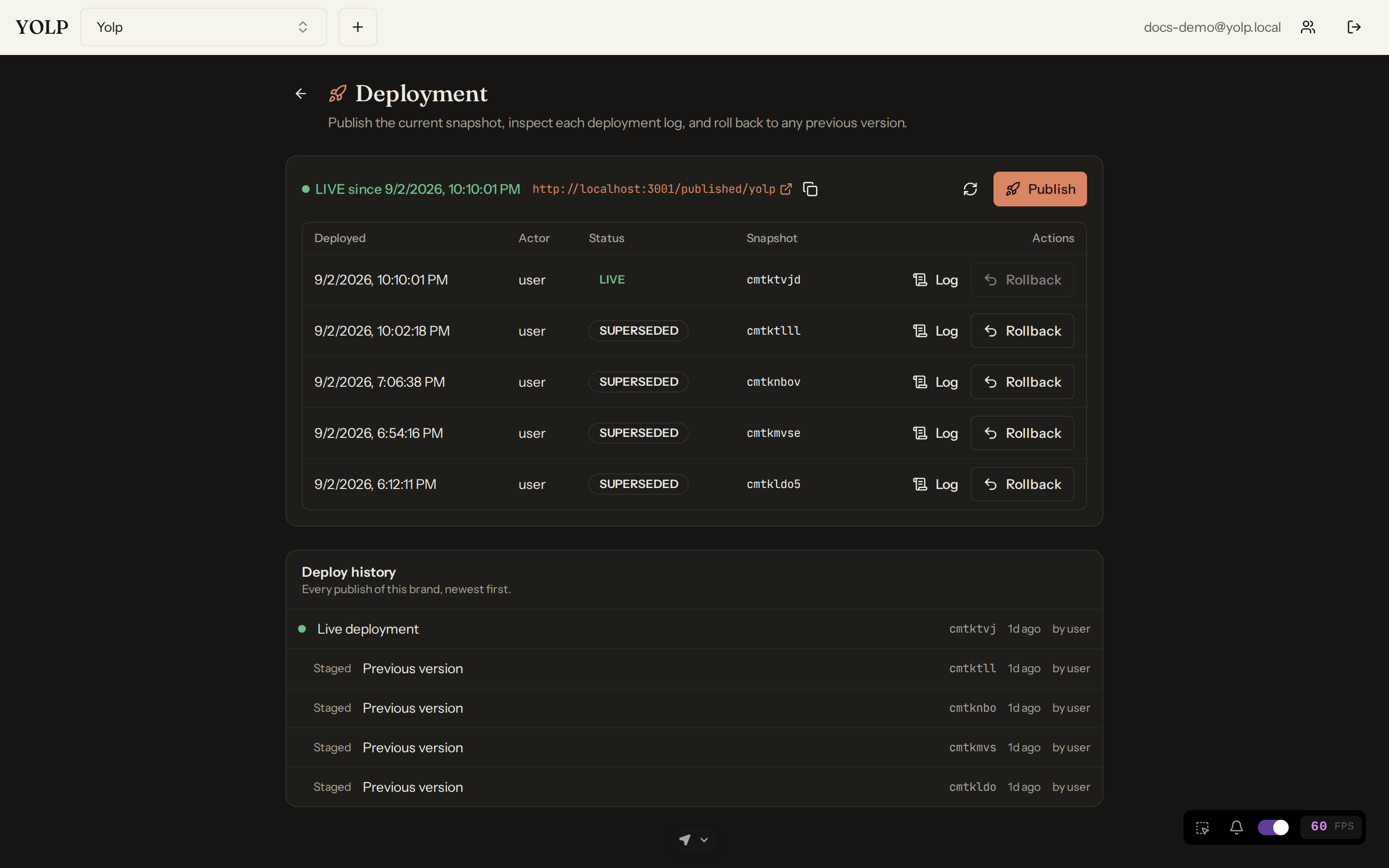 The deployment view