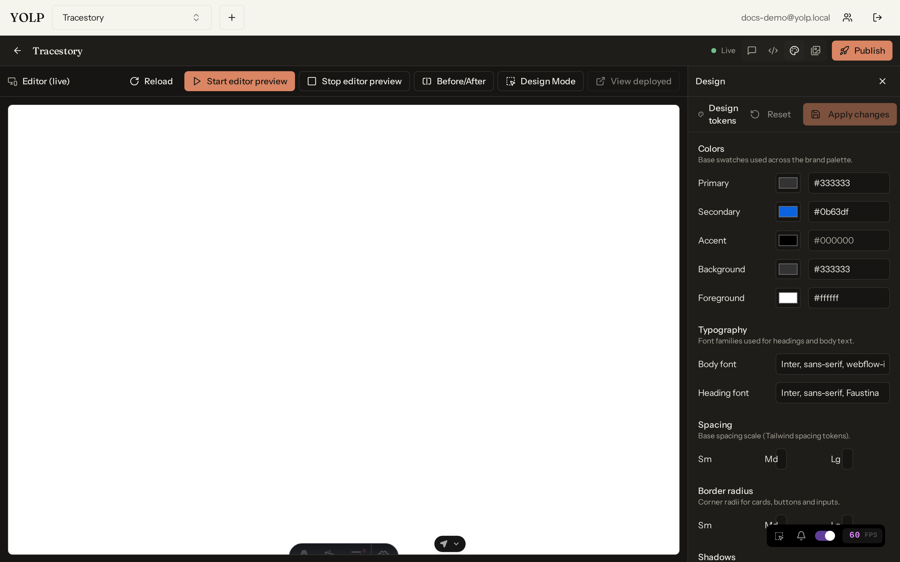 The Design panel — the brand's extracted design tokens, editable and applied site-wide